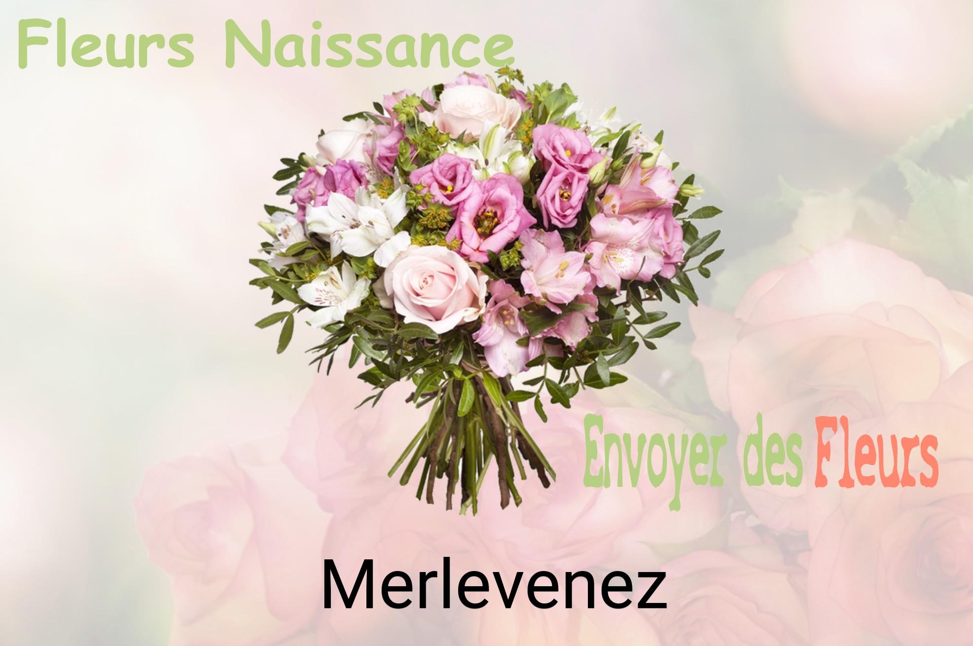 Bouquet de fleurs de naissance livré à Merlevenez